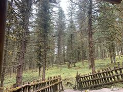 -硗碛藏寨·神木垒景区