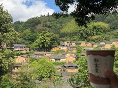 -杨家堂村