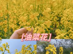 -南山风景名胜区