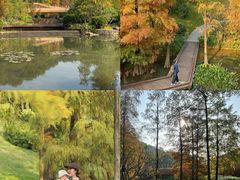 -云溪植物园
