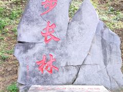 -北京十三陵国家森林公园蟒山景区