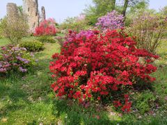 -南通洲际绿博园