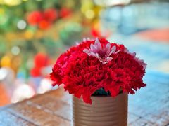 -TOMATITO(无限极荟店)