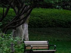-范蠡湖公园