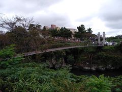 -龙头岩(Dragon Head Rock)