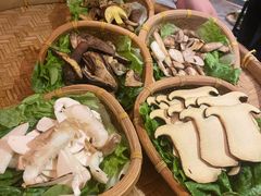 -滇野云南野生菌餐厅(陕西南路店)