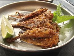-夜食白市Yespicy·烧烤啤酒宵夜(番禺四海城店)