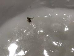 -花少爷的粥(中贸广场店)