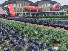 -中国天府农业博览园