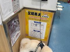 -宠福鑫动物医院(城北分院)