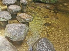 -牛背梁国家森林公园