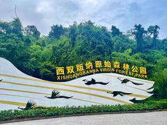 -西双版纳原始森林公园