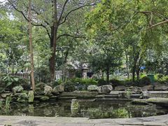 -成都市活水公园