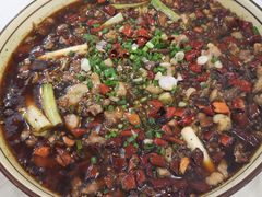 -西木兔(大圆祥店)