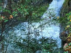 -宁波五龙潭景区