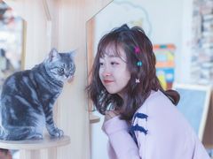 -猫的茶·猫咖