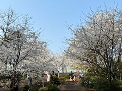 -南山植物园