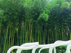 -苏州河梦清园环保主题公园