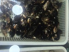 -鲜味食族水产·海鲜餐厅