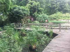 -成都市活水公园