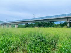 -光明小镇欢乐田园