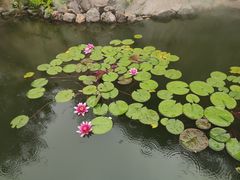 -天津盘山风景名胜区