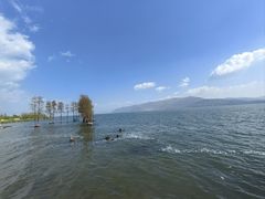 -大理洱海
