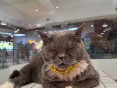 -上海静安大悦城