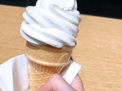 原味圆筒冰淇淋-麦当劳(花园北路店)