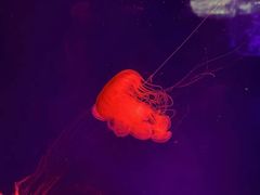 -波塞冬旅游度假区