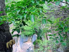 -百里山水画廊乌龙峡谷