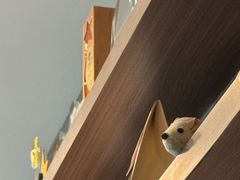 -Again Coffee Roaster(香蜜湖店)