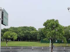 -天乐农家鱼头王(天目湖店)