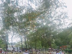 -东莞植物园