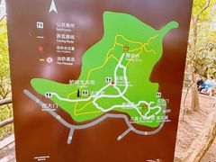 -上海佘山国家森林公园天马山园