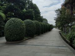 -郫都区农科村景区