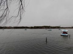 -昆山城市生态森林公园