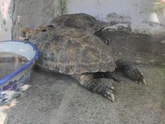 -昆明动物博物馆