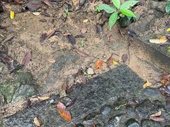 -七仙岭温泉国家森林公园