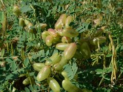 -火炉山森林公园