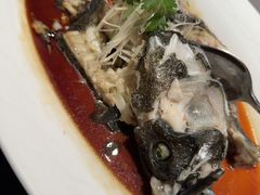 -百富源·海鲜辽菜(张士店)