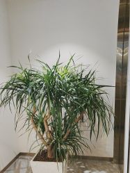 -吉艺心专业美发造型