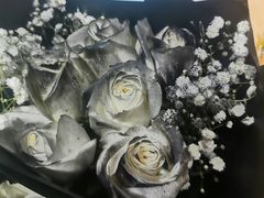 -循礼门鲜花花市(武汉循礼门店)