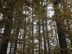 -驼梁风景区