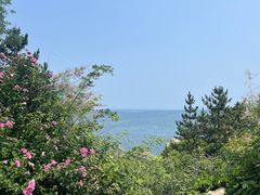 -养马岛旅游度假区