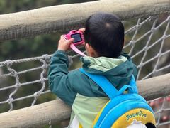 -少华山国家森林公园