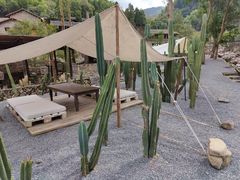 -MOJ coffee(瓯海泽雅水碓坑店)