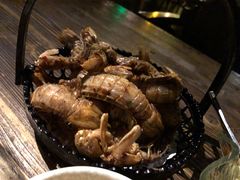 皮皮虾-胡桃里音乐酒馆(白云五号T5 MALL店)