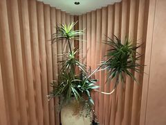 -清真·卡德尔大叔新疆主题餐厅(龙汇路店)