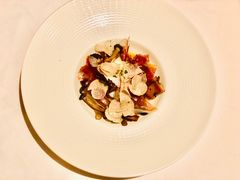 -蝶舍·MAISON PAPILLON